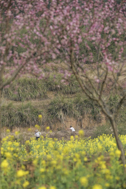 农业生产 春暖花开 气温回升 农业 农民 农村 春光