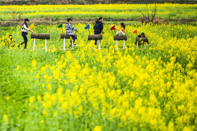 望城区   茶亭镇     油菜花
早春   田野