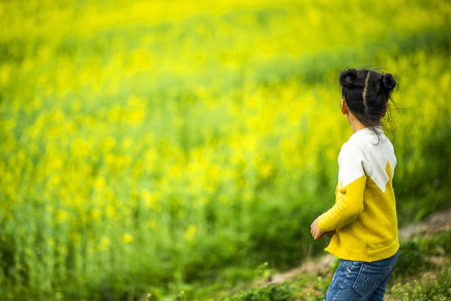 望城区   茶亭镇     油菜花
早春   田野