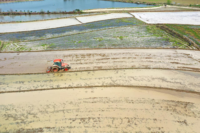 二十四节气  春分  早稻生产  大型耕整机