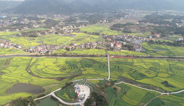 湖南双峰   油菜花  锁石   万亩油菜花基地  春天   乡村振兴  