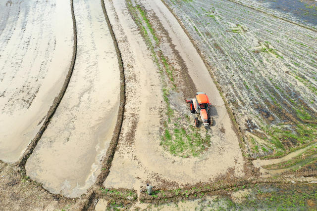  Large tillage machine for early rice production at the spring equinox in the 24th solar term