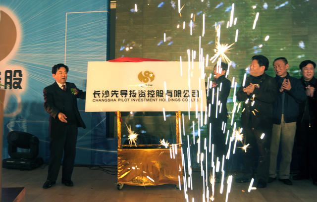 长沙先导投资控股有限公司