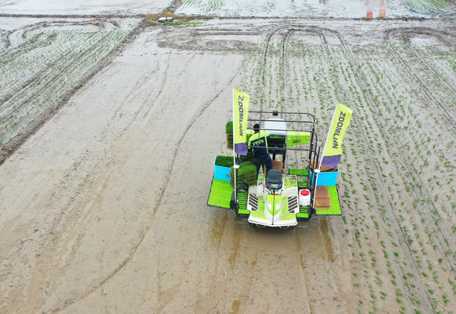  Changde agricultural grain production Early rice transplanter seedling throwing machine  
