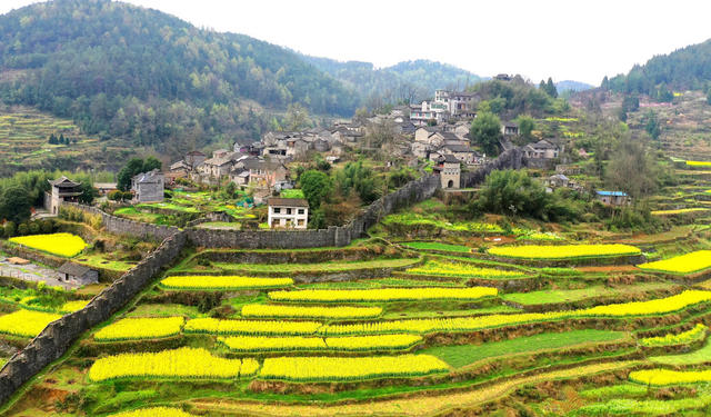 凤凰 拉毫古城堡 油菜花 旅游 