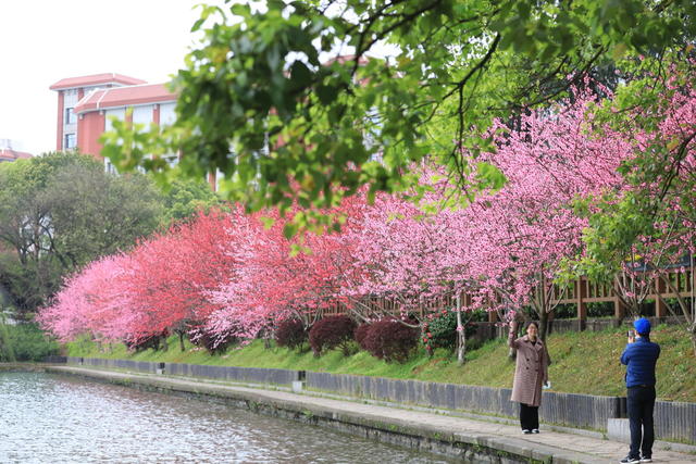 春分 赏花 锻炼