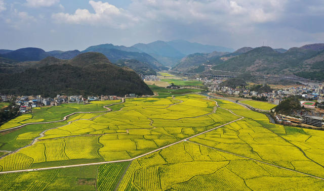 宜章 油菜花 乡村振兴 农业产业