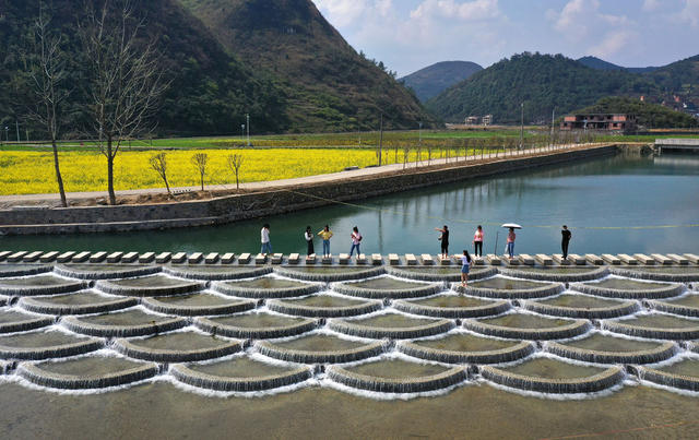 宜章 油菜花 乡村振兴 农业产业