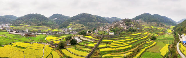 凤凰 拉毫古城堡 油菜花 旅游 