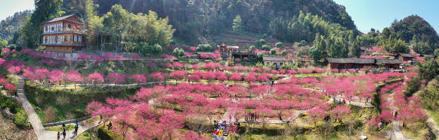 永顺 梅园 乡村旅游 生态