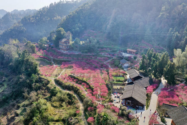 永顺 梅园 乡村旅游 生态