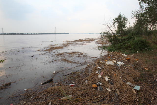 香炉洲湿地调查