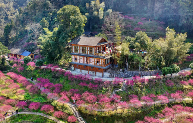 永顺 梅园 乡村旅游 生态