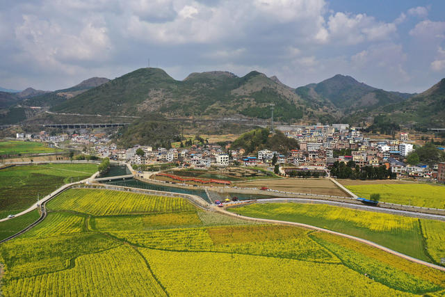宜章 油菜花 乡村振兴 农业产业