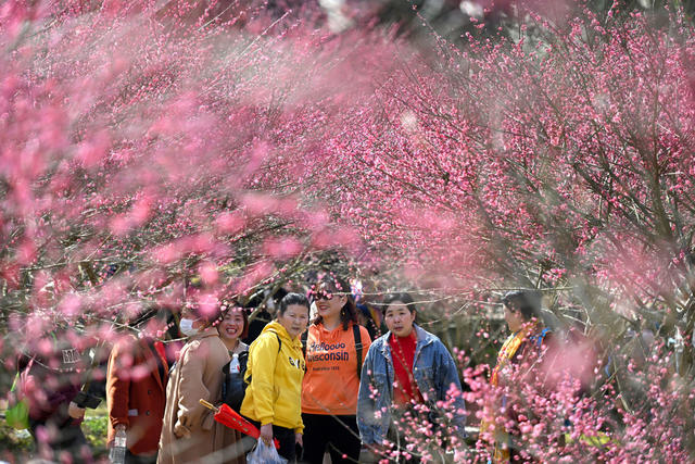 永顺 梅园 乡村旅游 生态