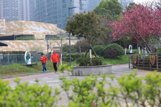 春分 赏花 锻炼