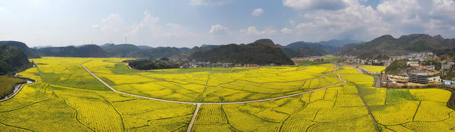 宜章 油菜花 乡村振兴 农业产业