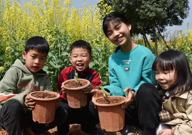 湖南双峰   劳动  春天  农村  油菜花  教育  小学生  