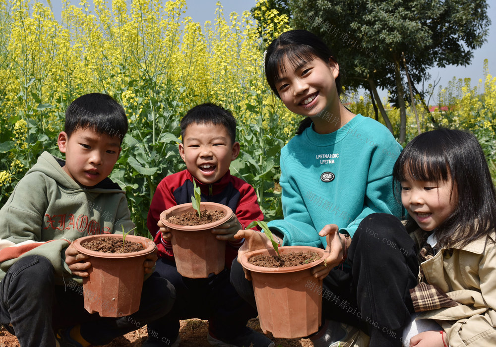 湖南双峰   劳动  春天  农村  油菜花  教育  小学生  