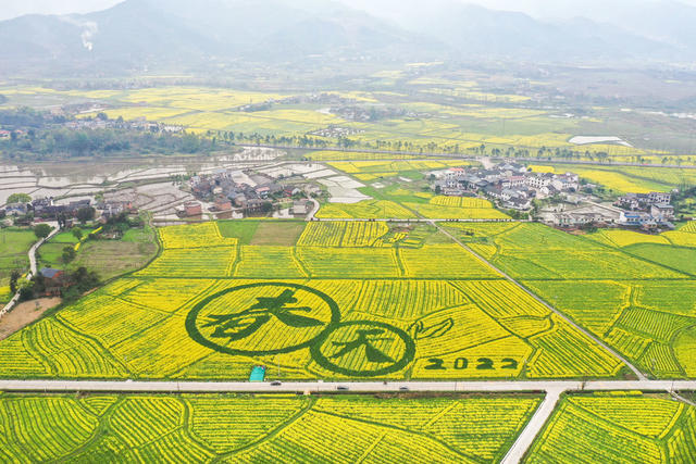 资兴 油菜花 农业产业 乡村振兴
