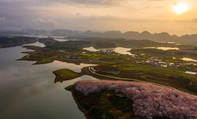 春季  鲜花  樱花  贵州  平坝