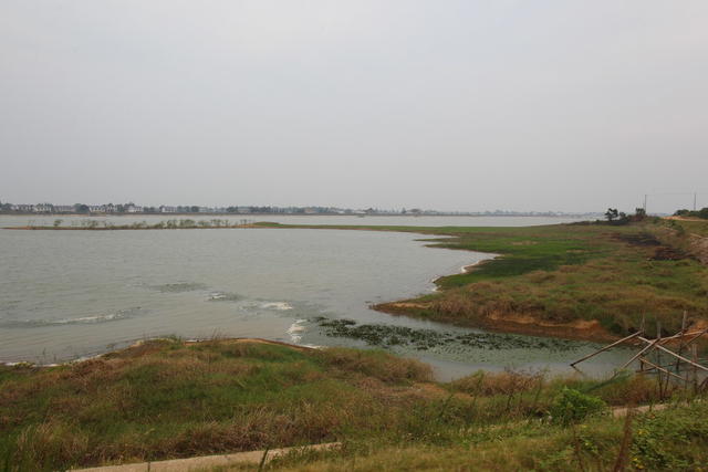 长沙团头湖