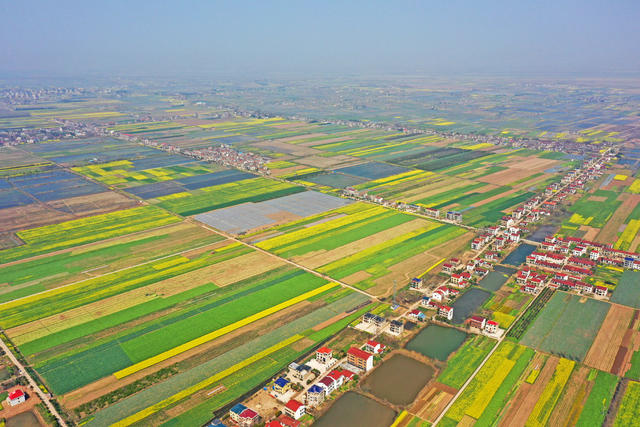 大地“调色板”