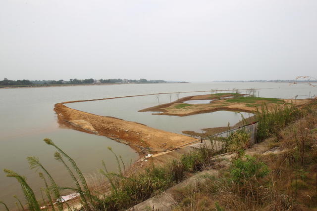 长沙团头湖