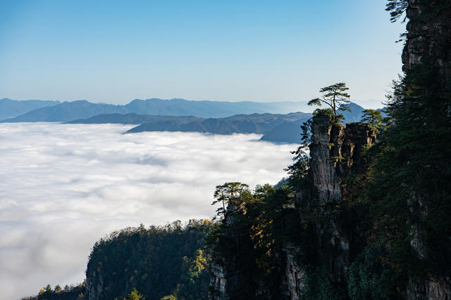 云雾  大海  仙境  武陵源  湖南