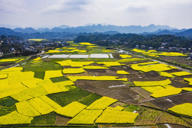 张家界 慈利县 阳和土家族乡 新农村 土家族 油菜花 旅游 