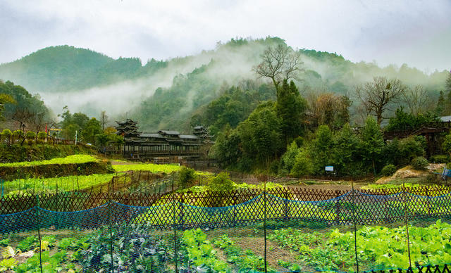 乡村 美丽乡村  人居环境整治  湖南怀化