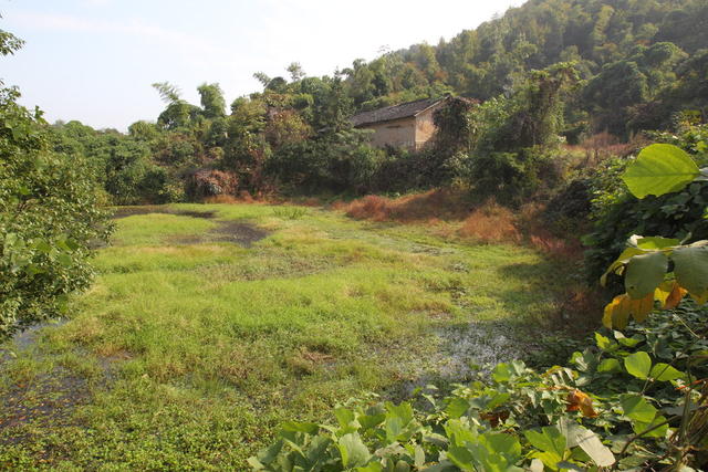燎原水库