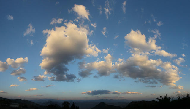 高黎贡山百花岭