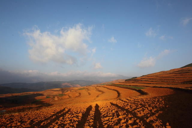 东川红土地