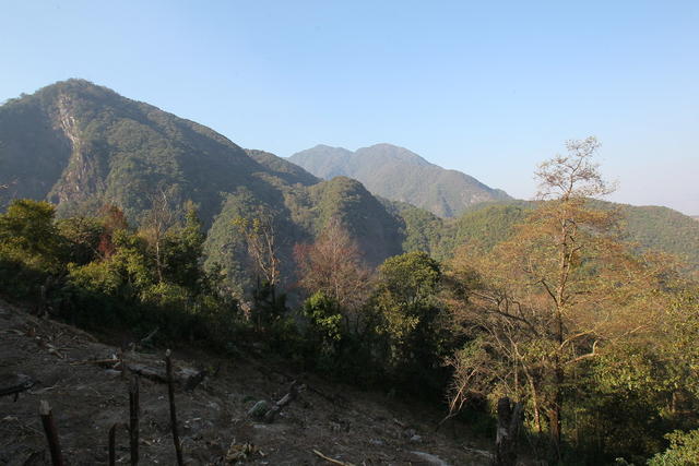 高黎贡山百花岭