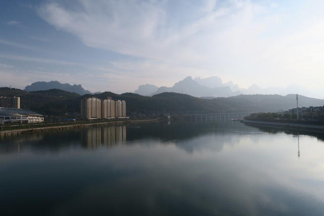 水 鸟 河岸 自然