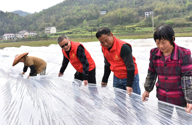 湖南双峰   合作社  育秧  党员  科技特派员  粮食生产  种田大户  