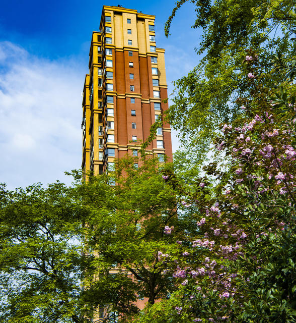 疫情  交通管制  解封  怀化