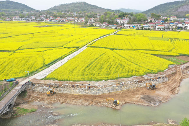 常德  山冲  农业  种植业  油菜  花海