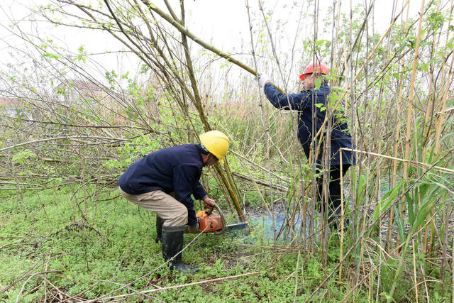 澧县  农业  耕地保护  遏制非粮化  全民行动