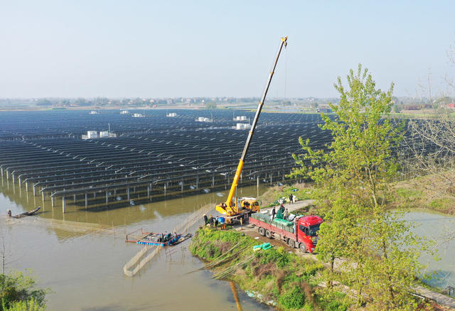  Changde Inland Lake Photovoltaic Power Generation Fishery Optics Complementary Breeding Income Increase