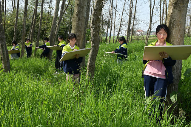教育  文化 美术 户外写生  学校  学生  乡村  田间地头