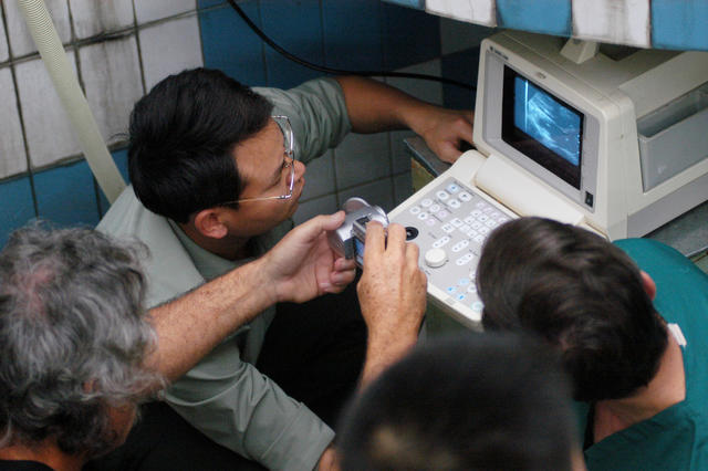 长沙动物园   斑鳖