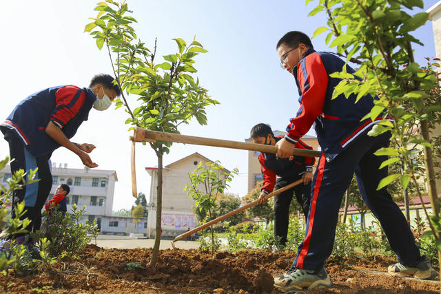 劳动教育 劳动实践 五育 成长 双减