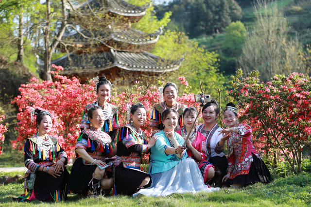 草堂 杜鹃花  游客 绿地 生态 休闲