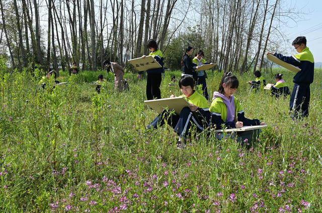 教育  文化 美术 户外写生  学校  学生  乡村  田间地头