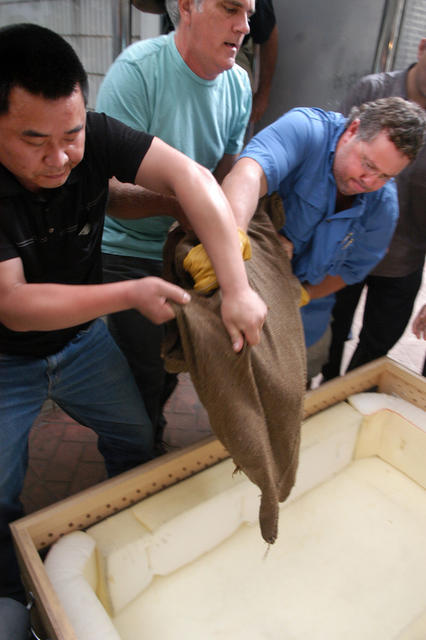 长沙动物园   斑鳖