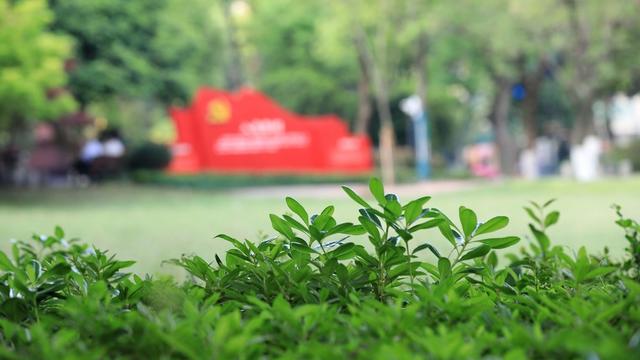 杜鹃花，晓园公园，园林景观，京剧，湖湘文化
