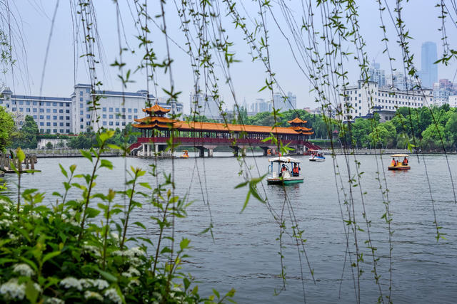湖南烈士公园   春