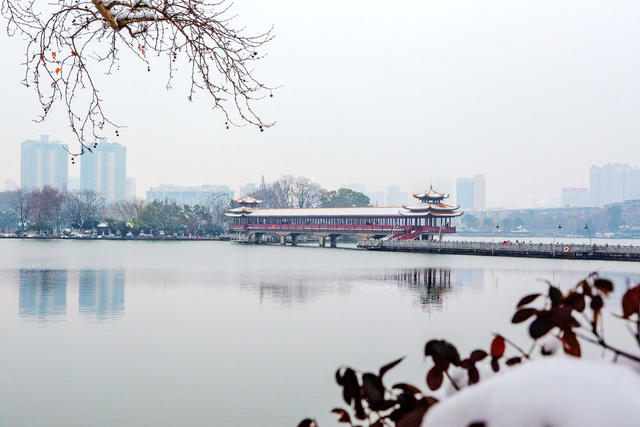 湖南烈士公园  冬
